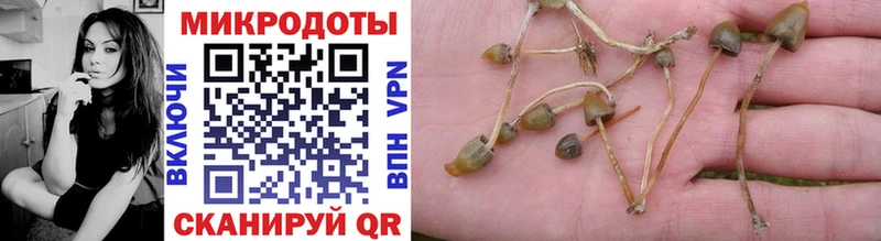 Галлюциногенные грибы Cubensis  Тбилисская 